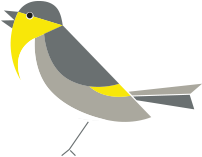 Serin bird
